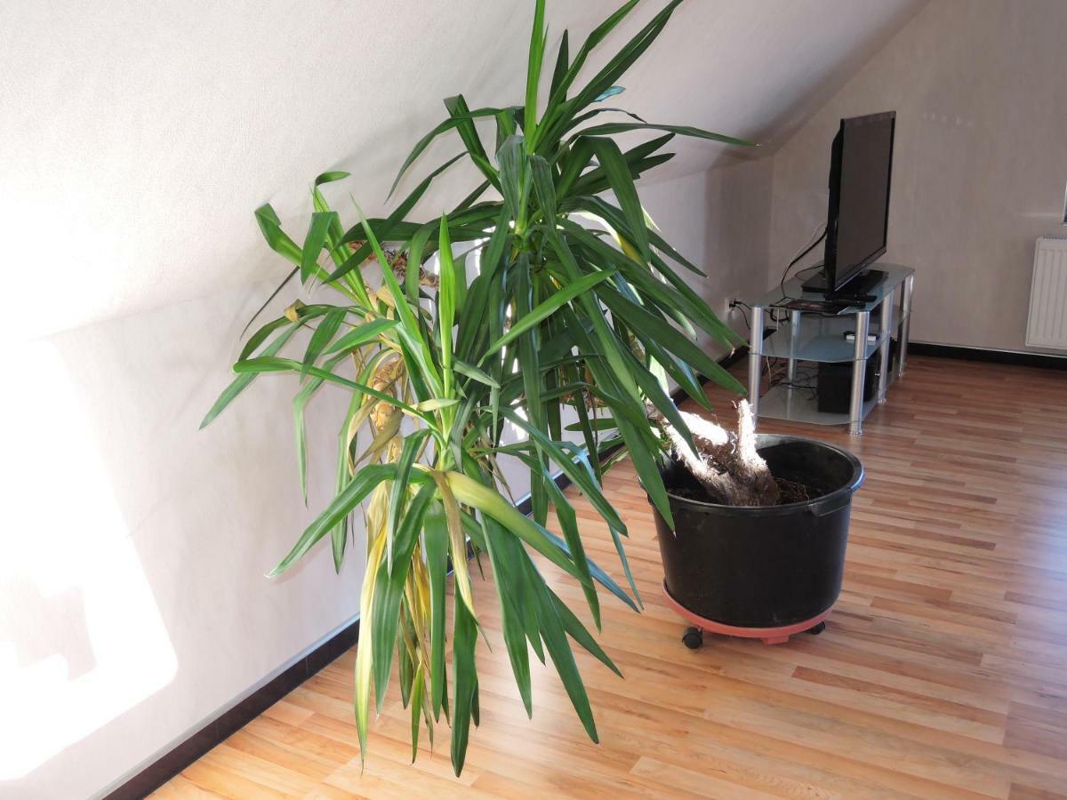 Guesthouse "Southside Of Hamburg" Zewnętrze zdjęcie